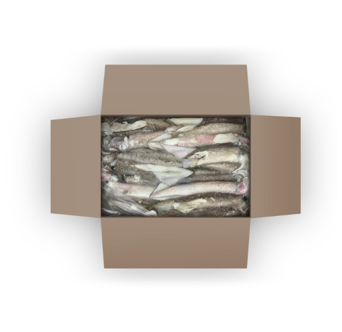 caja cenital calamar patagonico 5 kg pescanova compra online