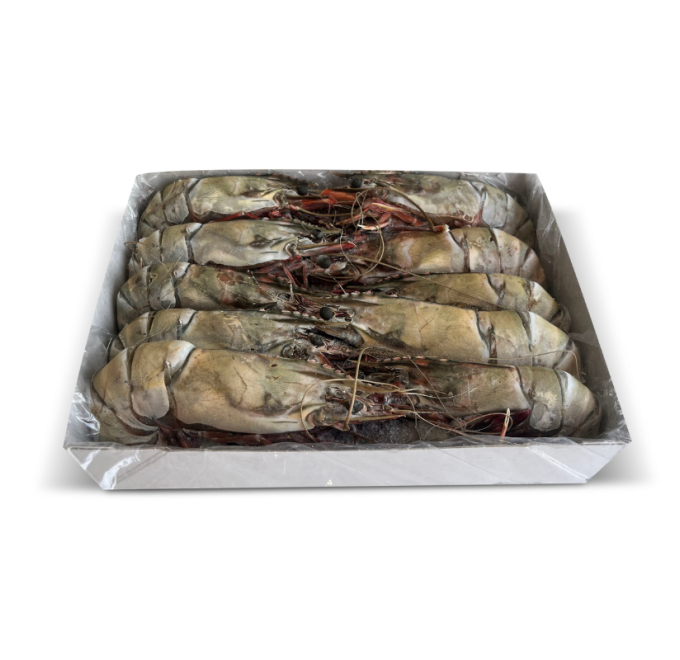 Langostino jumbo caja 2kg compra online pescanova